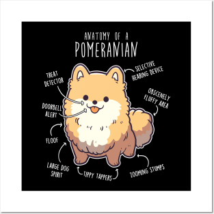 Orange Pomeranian Dog Anatomy Posters and Art